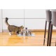 PetSafe stainless steel drinking fountain, model coastal noise or 360, cat, for cats and dogs, 1.8 litres or 3.8 litres water capacity, quiet operation, dual filtered water. PetSafe stainless steel drinking fountain, model coastal noise or 360, cat, for cats and dogs, 1.8 litres or 3.8 litres water capacity, quiet operation, dual filtered water.