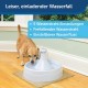 PetSafe stainless steel drinking fountain, model coastal noise or 360, cat, for cats and dogs, 1.8 litres or 3.8 litres water capacity, quiet operation, dual filtered water. PetSafe stainless steel drinking fountain, model coastal noise or 360, cat, for cats and dogs, 1.8 litres or 3.8 litres water capacity, quiet operation, dual filtered water.