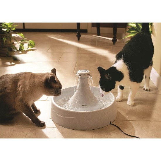 PetSafe stainless steel drinking fountain, model coastal noise or 360, cat, for cats and dogs, 1.8 litres or 3.8 litres water capacity, quiet operation, dual filtered water. PetSafe stainless steel drinking fountain, model coastal noise or 360, cat, for cats and dogs, 1.8 litres or 3.8 litres water capacity, quiet operation, dual filtered water.