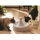 PetSafe stainless steel drinking fountain, model coastal noise or 360, cat, for cats and dogs, 1.8 litres or 3.8 litres water capacity, quiet operation, dual filtered water. PetSafe stainless steel drinking fountain, model coastal noise or 360, cat, for cats and dogs, 1.8 litres or 3.8 litres water capacity, quiet operation, dual filtered water.