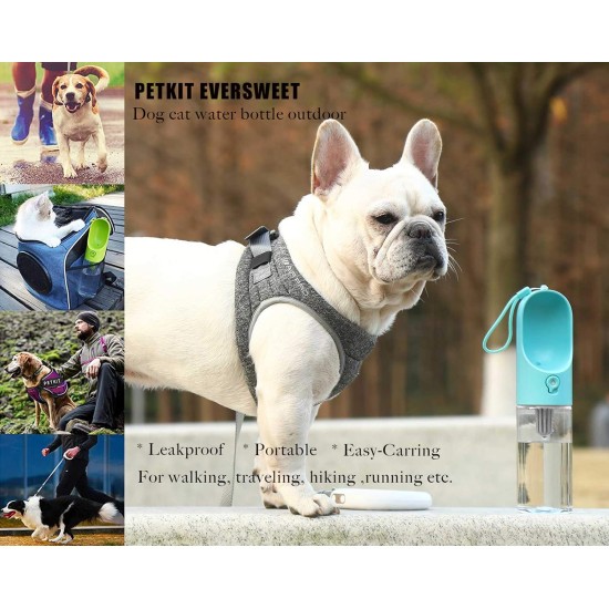 Petkit Eversweet Travel One-Touch P008 Travel Bottle Green Petkit Eversweet Travel One-Touch P008 Travel Bottle Green