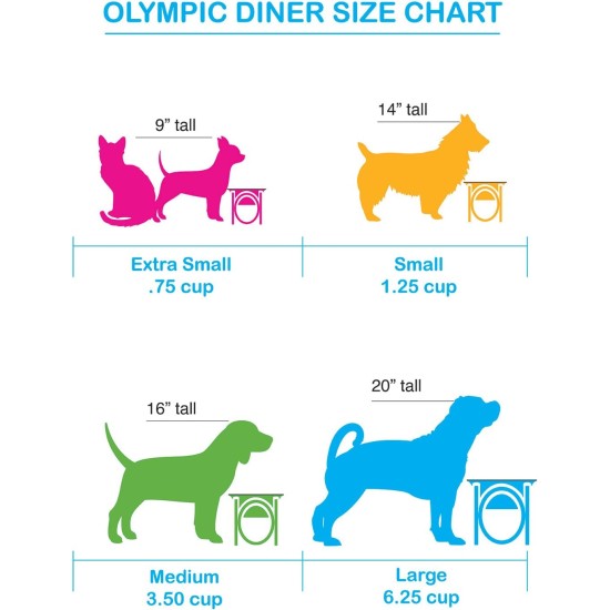 Platinum Pets Single Olympic Diner Feeder with Stainless Steel Cat/Puppy Bowl.75 cup/6 oz, Caribbean Teal Platinum Pets Single Olympic Diner Feeder with Stainless Steel Cat/Puppy Bowl.75 cup/6 oz, Caribbean Teal