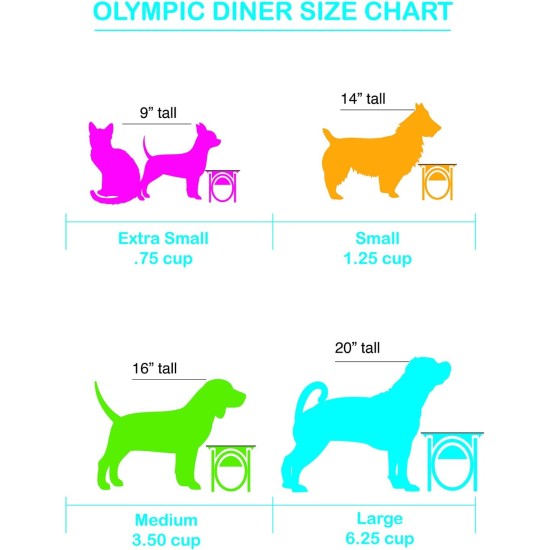 Platinum Pets Single Olympic Diner Feeder with Stainless Steel Cat/Puppy Bowl.75 cup/6 oz, Caribbean Teal Platinum Pets Single Olympic Diner Feeder with Stainless Steel Cat/Puppy Bowl.75 cup/6 oz, Caribbean Teal