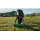 Porta-Bowl Travel Bowl & Dog Water Bottle, 4 Litres, Portable Dog Bowl with Handle, Sturdy Water Dispenser for Dogs, Compact Dog Camping Accessories & Dog Supplies