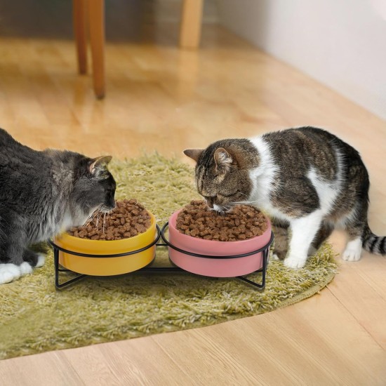Raised Ceramic Cat Bowl with Bowl Stand, Set of 2 Cat Feeding Bowls for Feeding Bowl and Water Bowl, Neck Protection Design, Cat Bowl Set for Cats, Dogs and Puppies, 400 ml (Pink+Yellow) Raised Ceramic Cat Bowl with Bowl Stand, Set of 2 Cat Feeding Bowls for Feeding Bowl and Water Bowl, Neck Protection Design, Cat Bowl Set for Cats, Dogs and Puppies, 400 ml (Pink+Yellow)