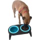 Raised Dog Bowl with Anti-Slinging Bowl, Cat Feeding Bowl with Drinking Fountain for Cat, 2 Extendable and Fold-Out Cat Bowls, Flat. Raised Dog Bowl Set (Pink) Raised Dog Bowl with Anti-Slinging Bowl, Cat Feeding Bowl with Drinking Fountain for Cat, 2 Extendable and Fold-Out Cat Bowls, Flat. Raised Dog Bowl Set (Pink)
