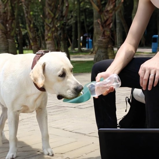 Record Water Dispenser with Drinking Bottle – Practical and Functional – Silicone – Dimensions: Diameter 8 x 23 cm – Capacity 400 ml – Colour Sea Green – Ideal for Long Walks and Travel Record Water Dispenser with Drinking Bottle – Practical and Functional – Silicone – Dimensions: Diameter 8 x 23 cm – Capacity 400 ml – Colour Sea Green – Ideal for Long Walks and Travel