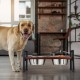 Relaxdays Dog Feeder Raised Dog Bar, 2 Stainless Steel Feeding Bowls, 750 ml Each, Mango Wood & Iron, Brown/Black