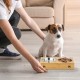 Relaxdays Feeding Bar for Small Dogs, 2 Bowls V Each 300 ml, Raised, Bamboo & Stainless Steel, HBT: 6.5 x 31.5 x 15 cm, Natural/Silver, 1 Piece 10028859 Relaxdays Feeding Bar for Small Dogs, 2 Bowls V Each 300 ml, Raised, Bamboo & Stainless Steel, HBT: 6.5 x 31.5 x 15 cm, Natural/Silver, 1 Piece 10028859