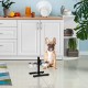 Relaxdays Stainless Steel Feeding Bowl Double Set Height Adjustable Dog Bar with Bowl Stand and 2 Removable Dog Bowls Feeding Bar for Cats / Cat Bar Metal Relaxdays Stainless Steel Feeding Bowl Double Set Height Adjustable Dog Bar with Bowl Stand and 2 Removable Dog Bowls Feeding Bar for Cats / Cat Bar Metal