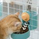Restokki Rabbit Feeder Drinking Bottle Feeder and Water Dispenser for Dogs, Cat Feeder Rabbit Feeder Water Dispenser Rabbit [Drinking Water + Feeder]