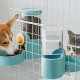Restokki Rabbit Feeder Drinking Bottle Feeder and Water Dispenser for Dogs, Cat Feeder Rabbit Feeder Water Dispenser Rabbit [Drinking Water + Feeder]