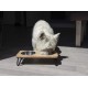 Rosewood Raised Dog Bowl for Medium and Large Dogs with a Sturdy Raised Stand and Two Stainless Steel Water and Food Bowls, Wood, Large