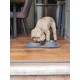 Rosewood Raised Wooden Dog Bowl for Small and Medium Dogs and Cats with a Sturdy Raised Stand and Two Stainless Steel Water and Food Bowls, Medium