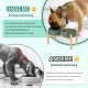 SPUNKYJUNKY Ceramic Dog Bowl Raised Feeding Bowl Water Bowl with Bamboo Stand for Medium and Large Dogs (850 ml, Beige) SPUNKYJUNKY Ceramic Dog Bowl Raised Feeding Bowl Water Bowl with Bamboo Stand for Medium and Large Dogs (850 ml, Beige)
