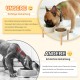 SPUNKYJUNKY Ceramic Dog Bowl Raised Feeding Bowl Water Bowl with Bamboo Stand for Medium and Large Dogs (850 ml, Beige) SPUNKYJUNKY Ceramic Dog Bowl Raised Feeding Bowl Water Bowl with Bamboo Stand for Medium and Large Dogs (850 ml, Beige)