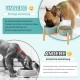 SPUNKYJUNKY Ceramic Dog Bowl Raised Feeding Bowl Water Bowl with Bamboo Stand for Medium and Large Dogs (850 ml, Beige) SPUNKYJUNKY Ceramic Dog Bowl Raised Feeding Bowl Water Bowl with Bamboo Stand for Medium and Large Dogs (850 ml, Beige)