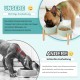 SPUNKYJUNKY Ceramic Dog Bowl Raised Feeding Bowl Water Bowl with Bamboo Stand for Medium and Large Dogs (850 ml, Beige) SPUNKYJUNKY Ceramic Dog Bowl Raised Feeding Bowl Water Bowl with Bamboo Stand for Medium and Large Dogs (850 ml, Beige)