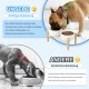 SPUNKYJUNKY Ceramic Dog Bowl Raised Feeding Bowl Water Bowl with Bamboo Stand for Medium and Large Dogs (850 ml, Beige) SPUNKYJUNKY Ceramic Dog Bowl Raised Feeding Bowl Water Bowl with Bamboo Stand for Medium and Large Dogs (850 ml, Beige)