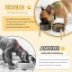 SPUNKYJUNKY Ceramic Dog Bowl Raised Feeding Bowl Water Bowl with Bamboo Stand for Medium and Large Dogs (850 ml, Beige) SPUNKYJUNKY Ceramic Dog Bowl Raised Feeding Bowl Water Bowl with Bamboo Stand for Medium and Large Dogs (850 ml, Beige)