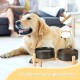 SPUNKYJUNKY Ceramic Dog Bowl Raised Feeding Bowl Water Bowl with Bamboo Stand for Medium and Large Dogs (850 ml, Beige) SPUNKYJUNKY Ceramic Dog Bowl Raised Feeding Bowl Water Bowl with Bamboo Stand for Medium and Large Dogs (850 ml, Beige)