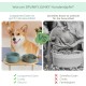 SPUNKYJUNKY Ceramic Dog Bowl Set Anti Sling Bowl with Bamboo Stand for Cats and Dogs (Beige) SPUNKYJUNKY Ceramic Dog Bowl Set Anti Sling Bowl with Bamboo Stand for Cats and Dogs (Beige)