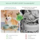 SPUNKYJUNKY Ceramic Dog Bowl Set Anti Sling Bowl with Bamboo Stand for Cats and Dogs (Beige) SPUNKYJUNKY Ceramic Dog Bowl Set Anti Sling Bowl with Bamboo Stand for Cats and Dogs (Beige)