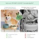 SPUNKYJUNKY Ceramic Dog Bowl Set Anti Sling Bowl with Bamboo Stand for Cats and Dogs (Beige) SPUNKYJUNKY Ceramic Dog Bowl Set Anti Sling Bowl with Bamboo Stand for Cats and Dogs (Beige)