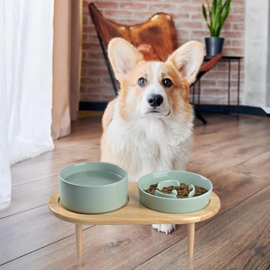SPUNKYJUNKY Ceramic Dog Bowl Set Anti Sling Bowl with Bamboo Stand for Cats and Dogs (Dark Green) SPUNKYJUNKY Ceramic Dog Bowl Set Anti Sling Bowl with Bamboo Stand for Cats and Dogs (Dark Green)