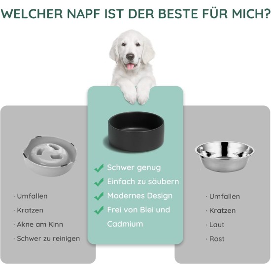 SPUNKYJUNKY Ceramic Double Dog Feeding Bowl with Bamboo Stand, for Cats and Dogs (400 ml, Grey 2) SPUNKYJUNKY Ceramic Double Dog Feeding Bowl with Bamboo Stand, for Cats and Dogs (400 ml, Grey 2)