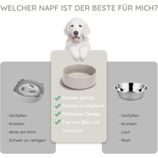 SPUNKYJUNKY Ceramic Double Dog Feeding Bowl with Bamboo Stand, for Cats and Dogs (400 ml, Grey 2) SPUNKYJUNKY Ceramic Double Dog Feeding Bowl with Bamboo Stand, for Cats and Dogs (400 ml, Grey 2)