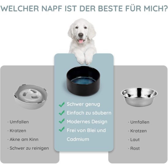SPUNKYJUNKY Ceramic Double Dog Feeding Bowl with Bamboo Stand, for Cats and Dogs (400 ml, Grey 2) SPUNKYJUNKY Ceramic Double Dog Feeding Bowl with Bamboo Stand, for Cats and Dogs (400 ml, Grey 2)