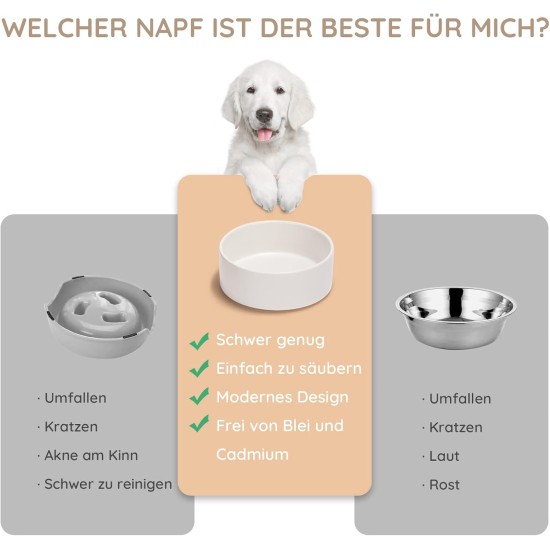 SPUNKYJUNKY Ceramic Double Dog Feeding Bowl with Bamboo Stand, for Cats and Dogs (400 ml, Grey 2) SPUNKYJUNKY Ceramic Double Dog Feeding Bowl with Bamboo Stand, for Cats and Dogs (400 ml, Grey 2)