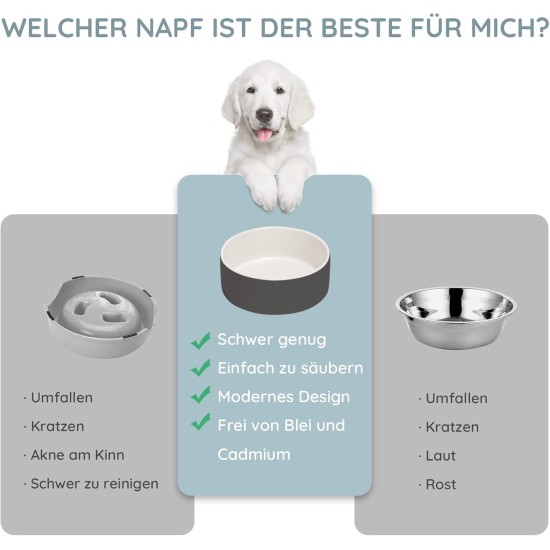 SPUNKYJUNKY Ceramic Double Dog Feeding Bowl with Bamboo Stand, for Cats and Dogs (400 ml, Grey 2) SPUNKYJUNKY Ceramic Double Dog Feeding Bowl with Bamboo Stand, for Cats and Dogs (400 ml, Grey 2)