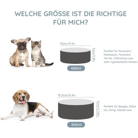 SPUNKYJUNKY Ceramic Double Dog Feeding Bowl with Bamboo Stand, for Cats and Dogs (400 ml, Grey 2) SPUNKYJUNKY Ceramic Double Dog Feeding Bowl with Bamboo Stand, for Cats and Dogs (400 ml, Grey 2)