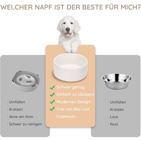 SPUNKYJUNKY Ceramic Double Dog Feeding Bowl with Bamboo Stand, for Cats and Dogs (400 ml, Grey 2) SPUNKYJUNKY Ceramic Double Dog Feeding Bowl with Bamboo Stand, for Cats and Dogs (400 ml, Grey 2)