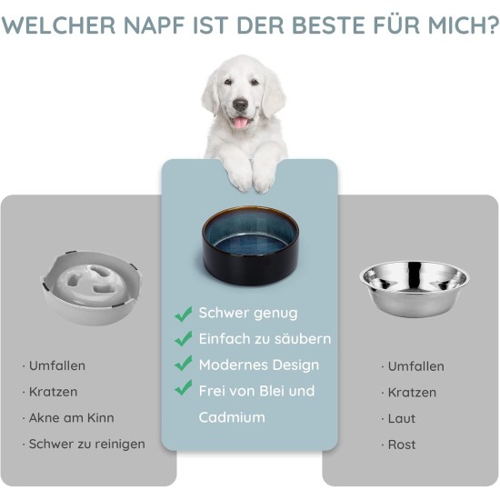 SPUNKYJUNKY Ceramic Double Dog Feeding Bowl with Bamboo Stand, for Cats and Dogs (400 ml, Grey 2) SPUNKYJUNKY Ceramic Double Dog Feeding Bowl with Bamboo Stand, for Cats and Dogs (400 ml, Grey 2)