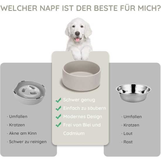 SPUNKYJUNKY Ceramic Double Dog Feeding Bowl with Bamboo Stand, for Cats and Dogs (400 ml, Grey 2) SPUNKYJUNKY Ceramic Double Dog Feeding Bowl with Bamboo Stand, for Cats and Dogs (400 ml, Grey 2)