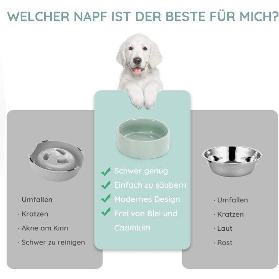 SPUNKYJUNKY Ceramic Double Dog Feeding Bowl with Bamboo Stand, for Cats and Dogs (400 ml, Grey 2) SPUNKYJUNKY Ceramic Double Dog Feeding Bowl with Bamboo Stand, for Cats and Dogs (400 ml, Grey 2)