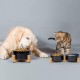 SPUNKYJUNKY Ceramic Double Dog Feeding Bowl with Bamboo Stand, for Cats and Dogs (400 ml, Grey 2) SPUNKYJUNKY Ceramic Double Dog Feeding Bowl with Bamboo Stand, for Cats and Dogs (400 ml, Grey 2)