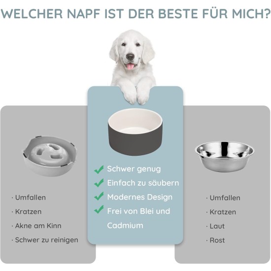 SPUNKYJUNKY Ceramic Double Dog Feeding Bowl with Bamboo Stand, for Cats and Dogs (400 ml, Grey 2) SPUNKYJUNKY Ceramic Double Dog Feeding Bowl with Bamboo Stand, for Cats and Dogs (400 ml, Grey 2)