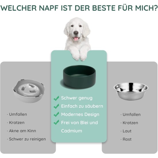 SPUNKYJUNKY Ceramic Double Dog Feeding Bowl with Bamboo Stand, for Cats and Dogs (400 ml, Grey 2) SPUNKYJUNKY Ceramic Double Dog Feeding Bowl with Bamboo Stand, for Cats and Dogs (400 ml, Grey 2)