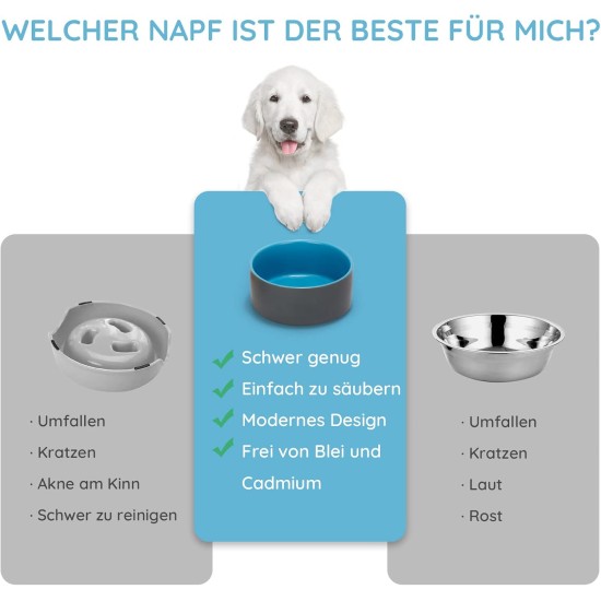 SPUNKYJUNKY Ceramic Double Dog Feeding Bowl with Bamboo Stand, for Cats and Dogs (400 ml, Grey 2) SPUNKYJUNKY Ceramic Double Dog Feeding Bowl with Bamboo Stand, for Cats and Dogs (400 ml, Grey 2)