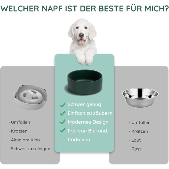 SPUNKYJUNKY Ceramic Double Dog Feeding Bowl with Bamboo Stand, for Cats and Dogs (400 ml, Grey 2) SPUNKYJUNKY Ceramic Double Dog Feeding Bowl with Bamboo Stand, for Cats and Dogs (400 ml, Grey 2)