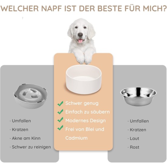 SPUNKYJUNKY Ceramic Double Dog Feeding Bowl with Bamboo Stand, for Cats and Dogs (400 ml, Grey 2) SPUNKYJUNKY Ceramic Double Dog Feeding Bowl with Bamboo Stand, for Cats and Dogs (400 ml, Grey 2)