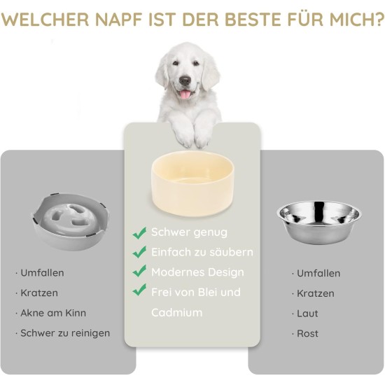 SPUNKYJUNKY Ceramic Double Dog Feeding Bowl with Bamboo Stand, for Cats and Dogs (400 ml, Grey 2) SPUNKYJUNKY Ceramic Double Dog Feeding Bowl with Bamboo Stand, for Cats and Dogs (400 ml, Grey 2)