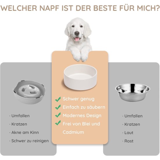 SPUNKYJUNKY Ceramic Double Dog Feeding Bowl with Bamboo Stand, for Cats and Dogs (400 ml, Grey 2) SPUNKYJUNKY Ceramic Double Dog Feeding Bowl with Bamboo Stand, for Cats and Dogs (400 ml, Grey 2)