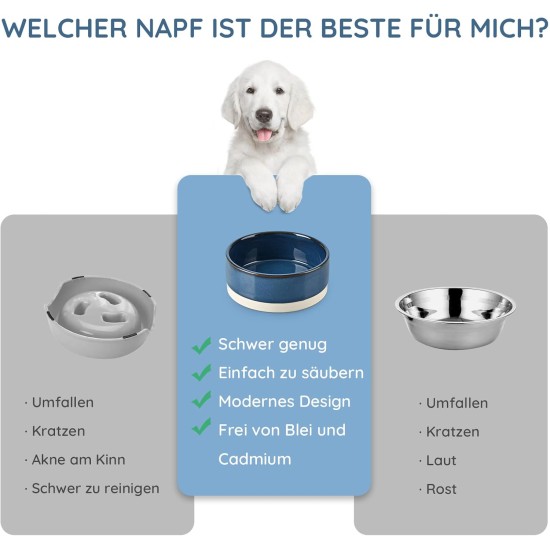 SPUNKYJUNKY Ceramic Double Dog Feeding Bowl with Bamboo Stand, for Cats and Dogs (400 ml, Grey 2) SPUNKYJUNKY Ceramic Double Dog Feeding Bowl with Bamboo Stand, for Cats and Dogs (400 ml, Grey 2)