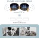 SPUNKYJUNKY Ceramic Double Dog Feeding Bowl with Bamboo Stand, for Cats and Dogs (400 ml, Grey 2) SPUNKYJUNKY Ceramic Double Dog Feeding Bowl with Bamboo Stand, for Cats and Dogs (400 ml, Grey 2)