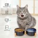 SPUNKYJUNKY Ceramic Double Dog Feeding Bowl with Bamboo Stand, for Cats and Dogs (400 ml, Grey 2) SPUNKYJUNKY Ceramic Double Dog Feeding Bowl with Bamboo Stand, for Cats and Dogs (400 ml, Grey 2)